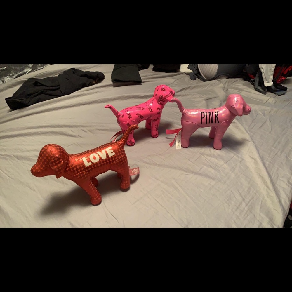 Vs dogs